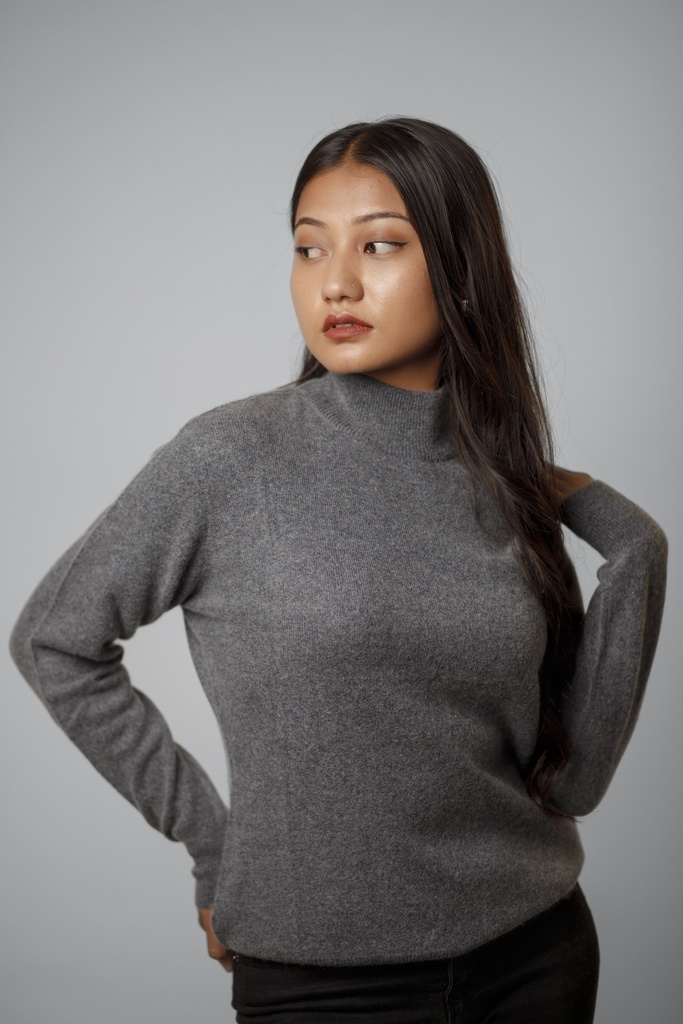 LADIES TURTLE NECK PLAIN (AWB)